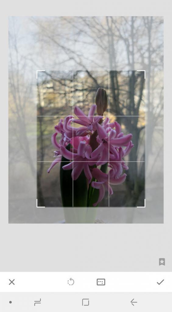 apkirpti nuotrauką android telefone su snapseed